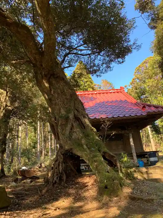 山神社の自然