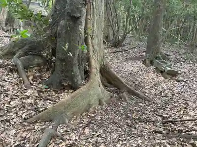 熊野神社(千葉県)