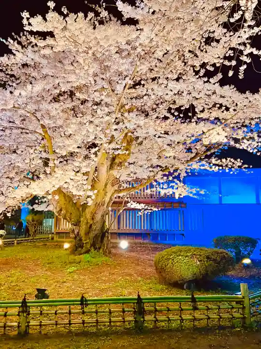 青森縣護國神社の{uncategorized: "未分類", other: "その他", undefined: "問題あり", building: "その他建物", grave: "お墓", sacred_gate: "鳥居", guardian: "狛犬", statue: "像", buddha: "仏像", history: "歴史", nature: "自然", garden: "庭園", animal: "動物", pagoda: "塔", temizu: "手水舎", mountain_gate: "山門・神門", sanctuary: "本殿・本堂", subordinate: "末社・摂社", art: "芸術", scenery: "景色", jizo: "地蔵", ema: "絵馬", goshuin: "御朱印", omikuji: "おみくじ", items: "授与品その他", amulet: "お守り", goshuincho: "御朱印帳", eats: "食事", festival: "お祭り", votive_dance: "神楽", shichigosan: "七五三参", wedding: "結婚式", experience: "体験その他", initially: "初詣", around: "周辺", anti_infection: "感染症対策"}