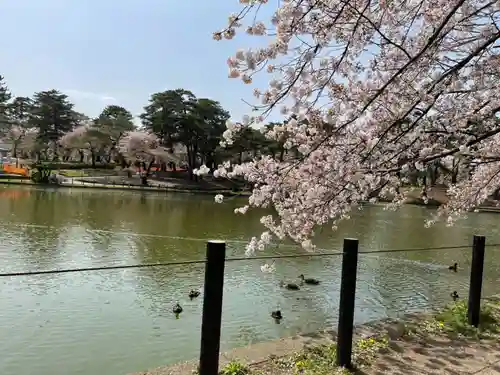 埼玉縣護國神社(埼玉県)