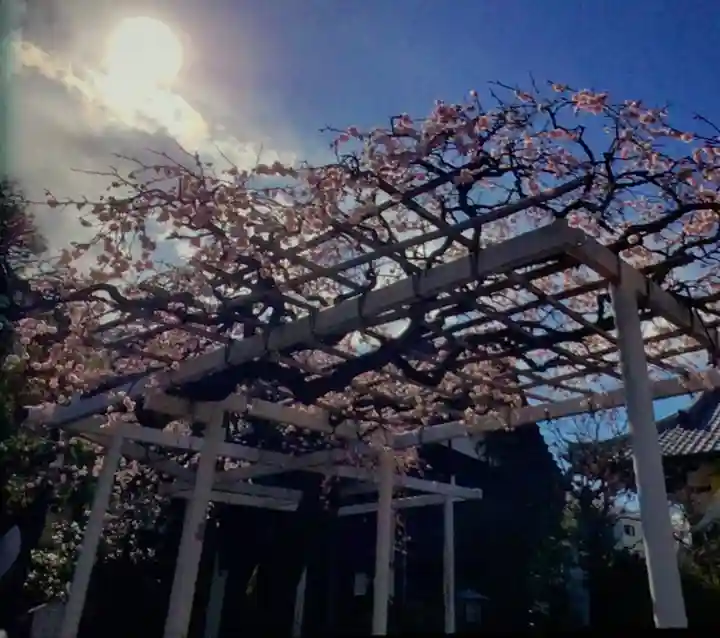 長善寺(東京都)
