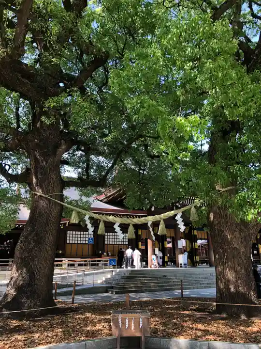 明治神宮の自然