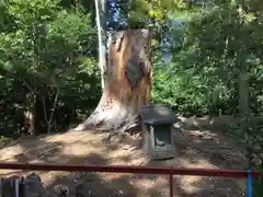 龍尾神社の自然