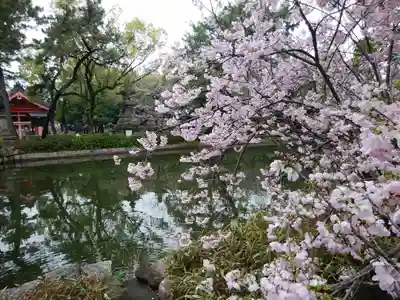 住吉大社(大阪府)