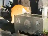 池袋水天宮(東京都)