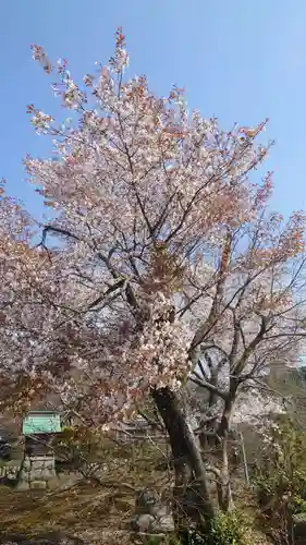 禅幢寺(岐阜県)