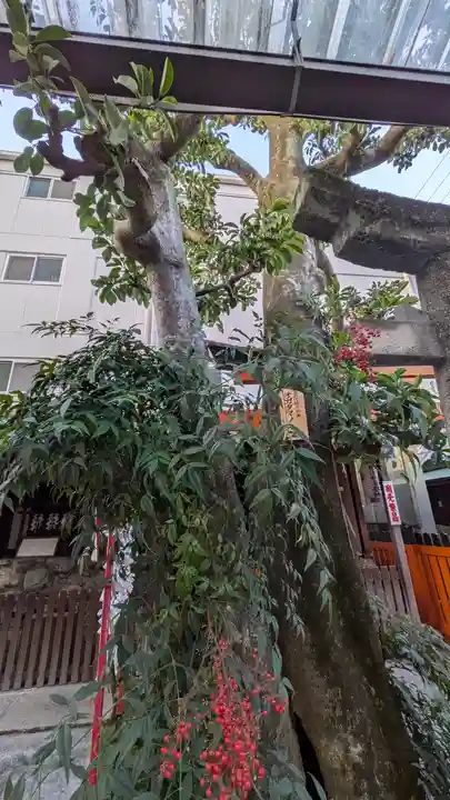 文子天満宮(京都府)