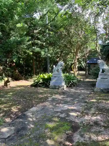 たこ神社の狛犬