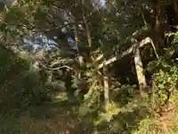 大山大神(千葉県)