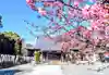 祇園山 徳城寺の本殿・本堂