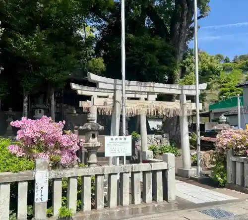 浅間神社(静岡県)