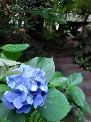 赤坂氷川神社(東京都)