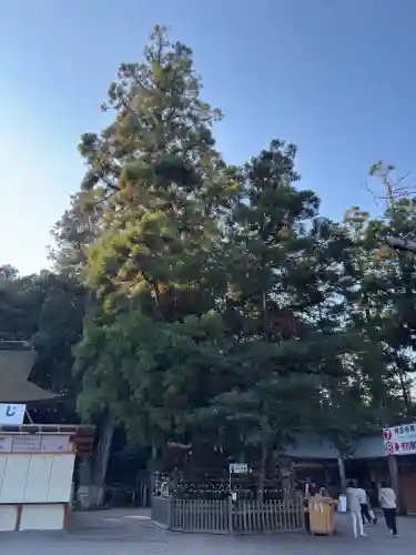 大神神社(奈良県)