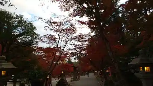 大原野神社の自然