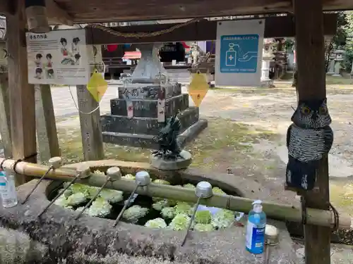村屋坐弥冨都比売神社の手水舎