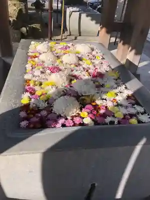 宮地嶽神社の手水舎