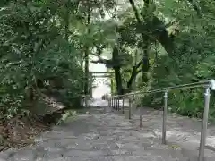 龍尾神社(静岡県)