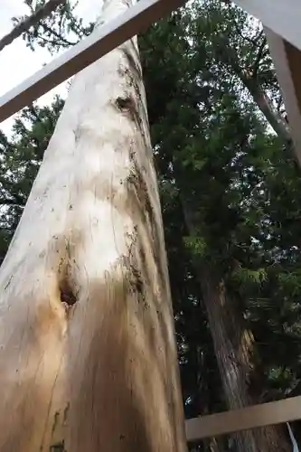 諏訪大社のその他建物