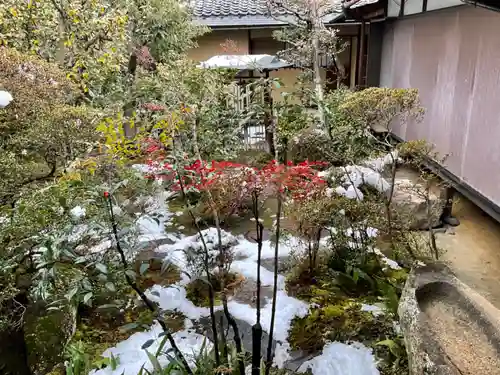 正傳（正伝）永源院の庭園