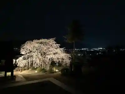 長谷寺(長野県)