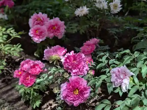 上野東照宮(東京都)