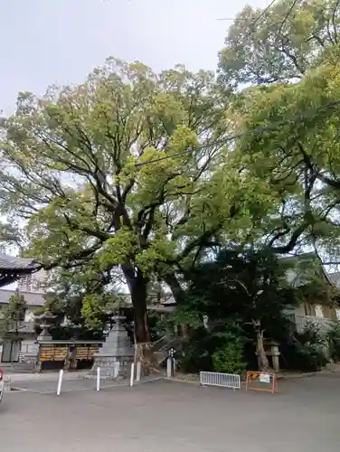 加納天満宮(岐阜県)