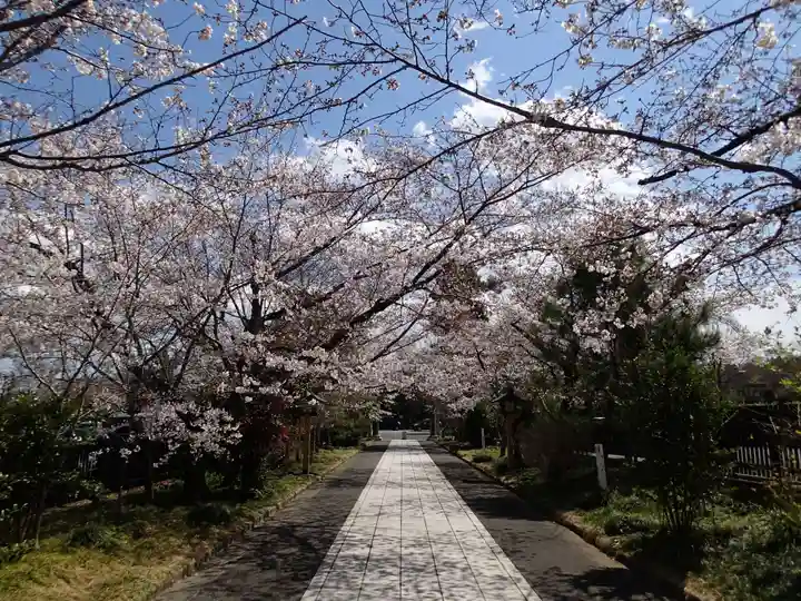 高麗神社の周辺