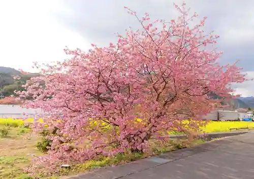 須佐乃男神社   の自然