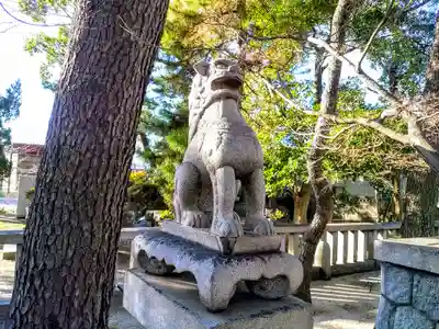 棚尾神社（八柱神社境外社）の狛犬