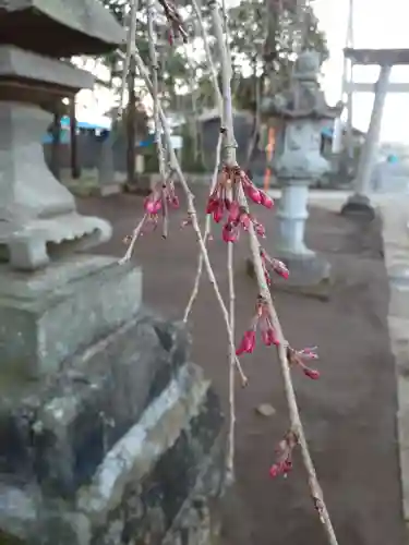 伏木香取神社の自然