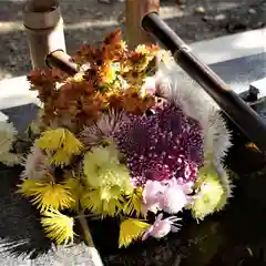 高司神社〜むすびの神の鎮まる社〜の手水