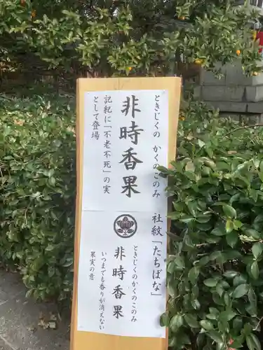 若宮八幡社のその他建物