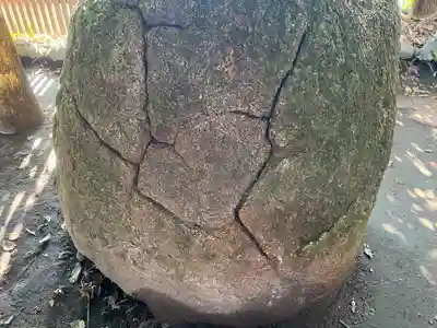 神徳稲荷神社の自然