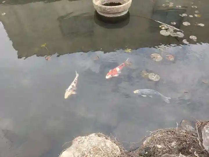 弁財天(愛知県)