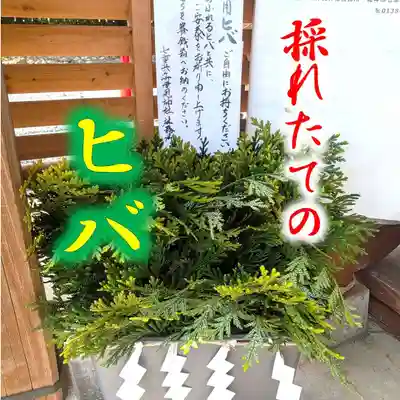 七重浜海津見神社(北海道)