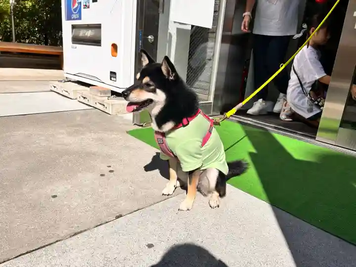 【閉業】小石川大神宮(東京都)