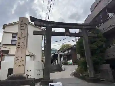 白山神社の{uncategorized: "未分類", other: "その他", undefined: "問題あり", building: "その他建物", grave: "お墓", sacred_gate: "鳥居", guardian: "狛犬", statue: "像", buddha: "仏像", history: "歴史", nature: "自然", garden: "庭園", animal: "動物", pagoda: "塔", temizu: "手水舎", mountain_gate: "山門・神門", sanctuary: "本殿・本堂", subordinate: "末社・摂社", art: "芸術", scenery: "景色", jizo: "地蔵", ema: "絵馬", goshuin: "御朱印", omikuji: "おみくじ", items: "授与品その他", amulet: "お守り", goshuincho: "御朱印帳", eats: "食事", festival: "お祭り", votive_dance: "神楽", shichigosan: "七五三参", wedding: "結婚式", experience: "体験その他", initially: "初詣", around: "周辺", anti_infection: "感染症対策"}