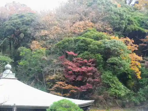 瑞泉寺のその他建物