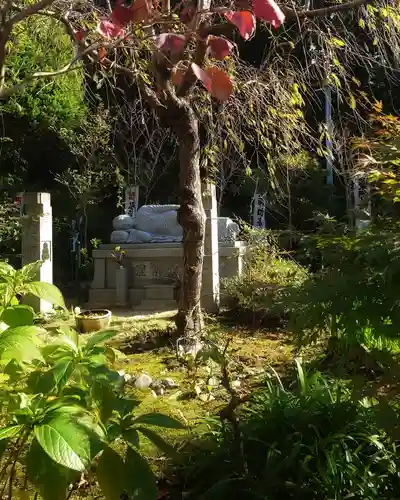 宝寿院の庭園