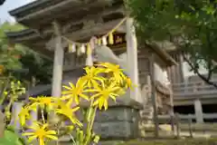 白山媛神社(新潟県)