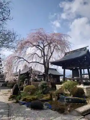 東光寺(長野県)