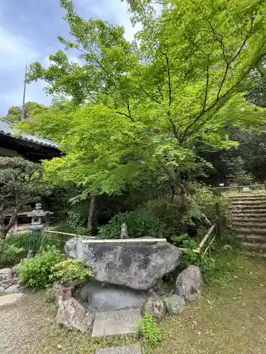 白毫寺の{uncategorized: "未分類", other: "その他", undefined: "問題あり", building: "その他建物", grave: "お墓", sacred_gate: "鳥居", guardian: "狛犬", statue: "像", buddha: "仏像", history: "歴史", nature: "自然", garden: "庭園", animal: "動物", pagoda: "塔", temizu: "手水舎", mountain_gate: "山門・神門", sanctuary: "本殿・本堂", subordinate: "末社・摂社", art: "芸術", scenery: "景色", jizo: "地蔵", ema: "絵馬", goshuin: "御朱印", omikuji: "おみくじ", items: "授与品その他", amulet: "お守り", goshuincho: "御朱印帳", eats: "食事", festival: "お祭り", votive_dance: "神楽", shichigosan: "七五三参", wedding: "結婚式", experience: "体験その他", initially: "初詣", around: "周辺", anti_infection: "感染症対策"}