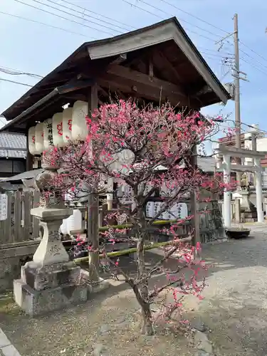 縣神社の自然