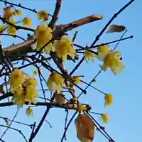 三輪神社の自然