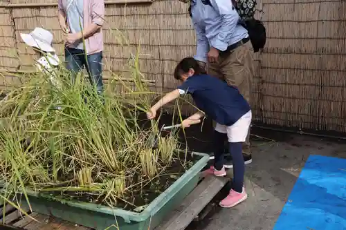 浅草神社の体験その他