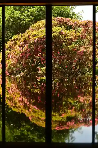 東福寺(徳島県)