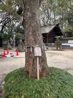 神明社（桜神明社）(愛知県)