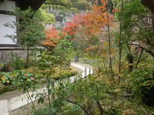 如意庵の庭園