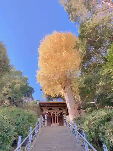 走水神社のその他建物