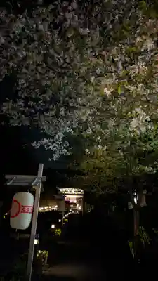 知恩院(京都府)